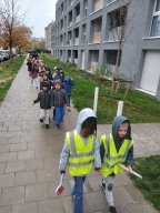 Dégustation de frites belges - M3